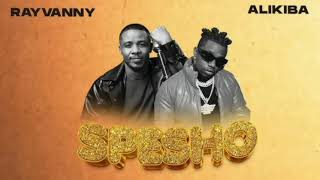 Rayvanny Feat Alikiba Spesho Official Music Video 480p [upl. by Ferdie252]