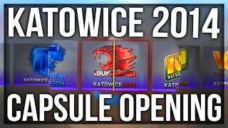 10x KATOWICE 2014 CAPSULE OPENING THE iBUYPOWER HOLO DREAM [upl. by Reffotsirk]