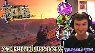 Wir haben fast 5 Stunden über Zelda Breath of the Wild geredet 💀🌳 Zelda Breath of the Wild [upl. by Rabush]