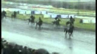 Prix de Cornulier 2001 First de Retz [upl. by Hollinger333]