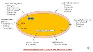 Classification of antimicrobial agents based on mechanism of action [upl. by Lemar]