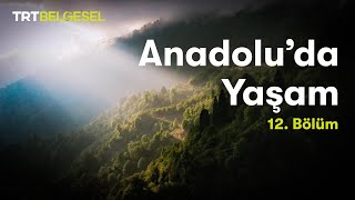 Anadoluda Yaşam  Karadeniz Bölgesi  TRT Belgesel [upl. by Ahseiat]