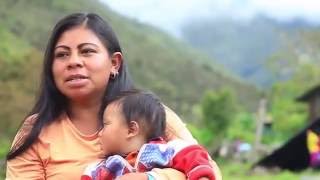 Documental Indígenas Uwa Colombia  Guardianes de la Madre Tierra [upl. by Accebber]