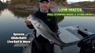 Feather River Striped Bass amp Steelhead [upl. by Halonna177]