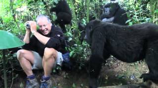 Extraordinary Encounter with Mountain Gorillas in Bwindi Uganda [upl. by Mac]