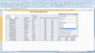 Subtotal en Excel [upl. by Maura]