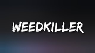 Ashnikko  WEEDKILLER Lyrics [upl. by Olmstead482]