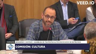 Intervención en la Comisión de Cultura de la Cámara de Diputados de la Nación 7 de mayo del 2024 [upl. by Valentia]