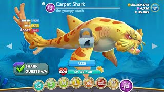 NEW GIANT SIZE HEIDI WOBBEGONG UNLOCKED AND GAMEPLAY  Hungry Shark World [upl. by Sybyl]