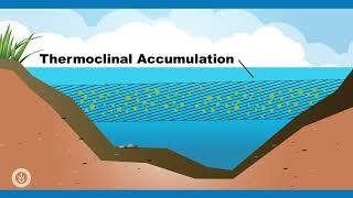 Algae Corner Algaecide Best Practices for Dissolved Oxygen [upl. by Oconnor]