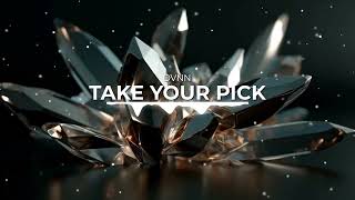 DVNN  Take Your Pick [upl. by Domineca]