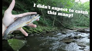 Fishing the Calm before a Storm  PA Trout Fishing [upl. by Ellenid]