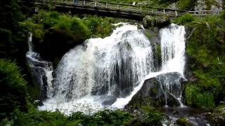 Der Triberger Wasserfall im Schwarzwald [upl. by Ennairrek]