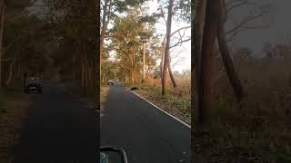 Pilibhit Tiger Reserve [upl. by Eibreh]