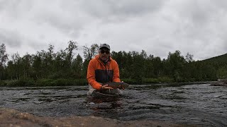 Fly Fishing Arjeplog Sweden [upl. by Yllom275]