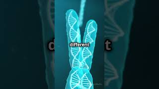 What Are Homologous Chromosomes Genetics 101 facts science biofacts cellformation cellbiology [upl. by Hinkle850]