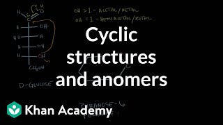 Carbohydrates  Cyclic structures and anomers  Chemical processes  MCAT  Khan Academy [upl. by Mclain26]