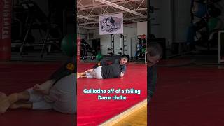 1 way to Guillotine off a failing Darce choke jiujitsu bjj choke submission guillotinechoke [upl. by Awram]