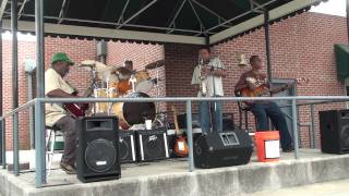 Fred Harris And The Beale Street Blues Band Live At Handy Park Memphis quotHoovchie Coochie Manquot [upl. by Rebme]