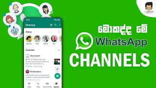 WhatsApp Channels  The Biggest Update in 2023 Revealed [upl. by Ttemme]