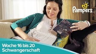 Schwangerschaftswoche 16 bis 20  Entwicklung der Sinne  Pampers [upl. by Friedlander]