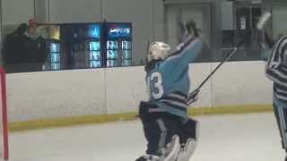 USPHL Playoffs KingsHitmen Semifinals Game 2 Highlights March 7 2015 [upl. by Annasoh948]