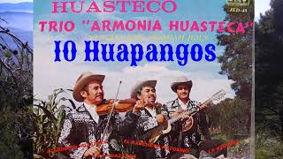 TRÍO ARMONÍA HUASTECA🎻LOS REYES DE LA MÚSICA HUASTECA [upl. by Ungley]