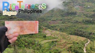 Rice Terraces in Cordillera  Ifugao Hiwang Native Village [upl. by Marinna]