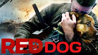 Red Dog2017 ActionWar Movie Movie ExplainedIn EnglishSubtitlesStarz Recapped [upl. by Nigel]