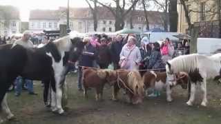 Pferdemarkt Neuruppin [upl. by Jacobsohn124]