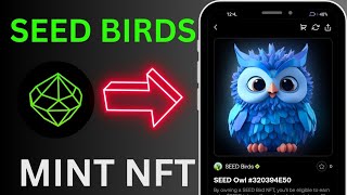 Earn Extra Token For Bird NFT Holder 🔥Mint Seed Bird NFT🔥How To Mint NFT🔥Earn More Seed Point In App [upl. by Celin820]