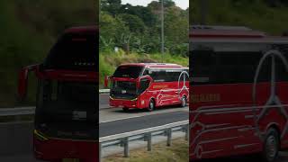 Bus Gunung Harta Dengan Chassis MercedesBenz OH 1626 L busmania busindonesia bus [upl. by Arytal]