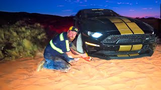 70000 Shelby Mustang Goes Off RoadingWhy [upl. by Anirbas759]