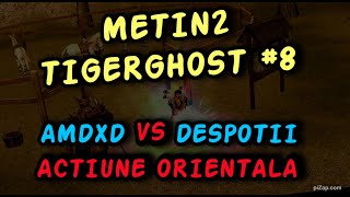 Metin2 TIGERGHOST 8  AMD vs DESPOTII INTUNECATI actiunea orientala mmorpg [upl. by Hardden]