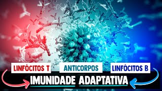 Sistema Imunológico IMUNIDADE ADAPTATIVA RESUMIDA │ Imunologia [upl. by Ramat]