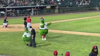 Phanatic gets ejected And pies an umpire [upl. by Pas]