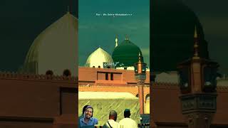 Saher me mohammad ke  viralvideo trending eidmiladunnabi love funny shortsvideo shorts [upl. by Adnulahs]