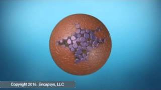 Interfacial Microencapsulation [upl. by Aubry240]