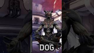 Warframe THIS DOG warframe shorts memes [upl. by Llenrag]