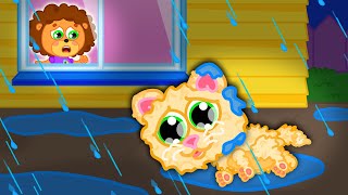 LionET  Little Baby Found Shivering Cat  Cartoon for Kids [upl. by Zahc]