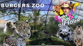 Bake amp Play on Tour  Burgers Zoo Arnhem  Vlog [upl. by Ann-Marie]