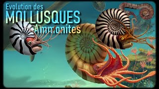 Les Ammonites Mollusques 23 [upl. by Mercedes]