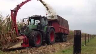 Fendt 815 met 3 rijer PZ fam de Jong Alphen [upl. by Eileen]