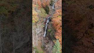 Canyoning Trip canyoning canyon adventure extremesports dji canyoneering outdoors [upl. by Sandor]