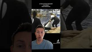 Photos taken Before Tragedy EPISODE 19 seaworld orca freewilly scary captivity [upl. by Ttegdirb]