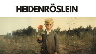 Heidenröslein Eng Lyrics [upl. by Etrem998]