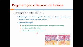 REGENERAÇÃO E REPARAÇÃO TECIDUAL part2 [upl. by Rabka]