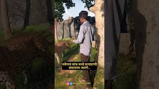 National Park Navegaon Bandh ytshort shorts youtubeshorts reality navegoan [upl. by Ociredef597]