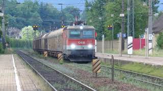 ÖBB 1144 011 in Villach Warmbad und Villach Hbf am 22 und 2362019 [upl. by Winonah]