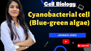 Cyanobacterial cell  Blue Green algae Notes Cell Biology [upl. by Akkina]